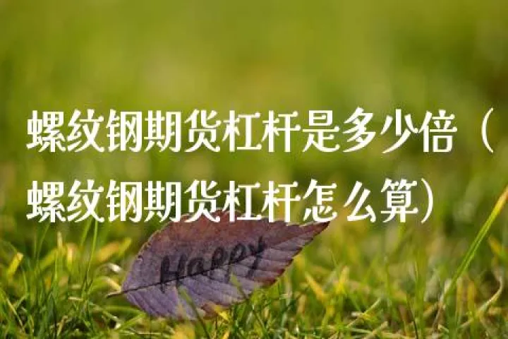 期货期权多少倍杠杆(期货期权杠杆是多少倍)_https://www.07apk.com_期货行业分析_第1张