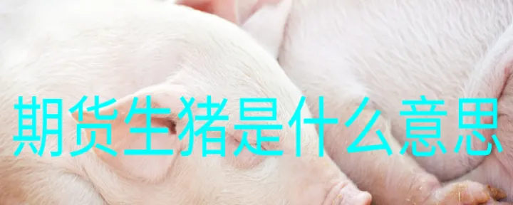 生猪期货交易对象(生猪期货在哪个交易市场交易)_https://www.07apk.com_农产品期货_第1张