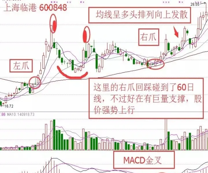 期货市场反转标志什么意思(期货反向市场什么意思)_https://www.07apk.com_农产品期货_第1张