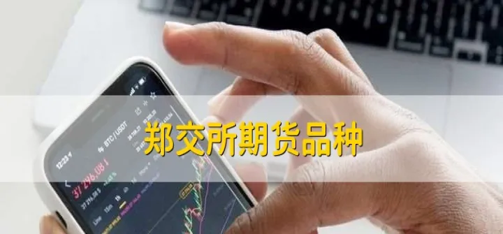 郑交所期货套保(郑交所期货交割库)_https://www.07apk.com_农产品期货_第1张