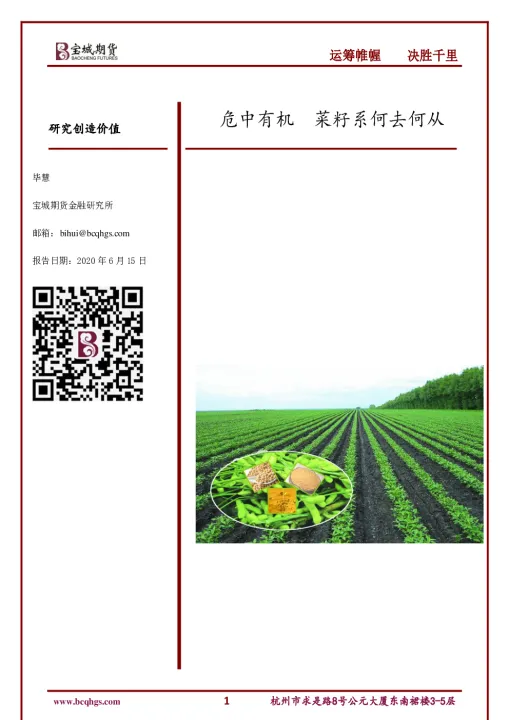 期市收盘涨多跌少菜籽期货涨超4(期货菜籽是什么)_https://www.07apk.com_期货科普_第1张