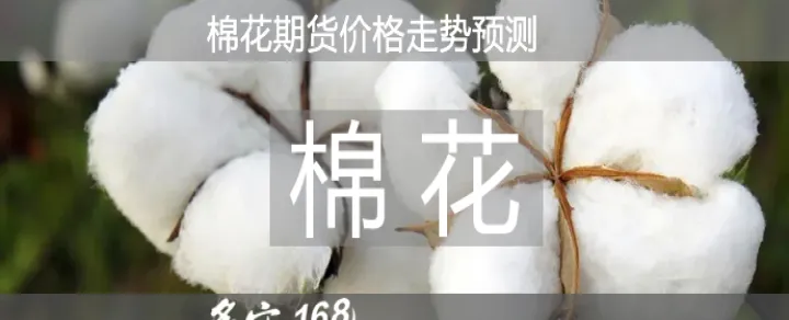 期货棉花平仓手续费(棉花期货当日平仓收手续费吗)_https://www.07apk.com_黄金期货直播室_第1张