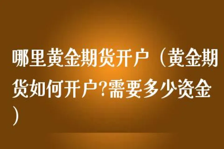 黄金期货交易手续费用多少(黄金期货交易手续费怎么收取)_https://www.07apk.com_原油期货_第1张