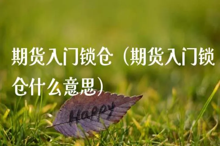 期货怎么锁仓保护(期货锁仓技巧口诀)_https://www.07apk.com_期货技术分析_第1张