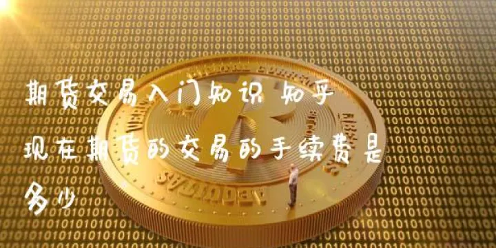 期货在哪里查交易所手续费(期货哪里查询品种实时手续费)_https://www.07apk.com_农产品期货_第1张