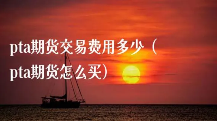 pta期货直播间的手续费(pta期货手续费)_https://www.07apk.com_期货技术分析_第1张