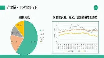 生猪期货概念股天邦股份(生猪期货概念股天邦股份怎么样)_https://www.07apk.com_黄金期货直播室_第1张