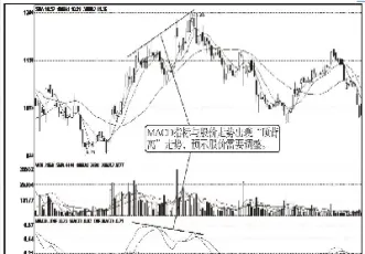 说明远期和期货的异同(说明远期和期货的异同点)_https://www.07apk.com_期货技术分析_第1张