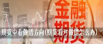 期货市场中的反手(期货市场中的反手是什么)_https://www.07apk.com_黄金期货直播室_第1张