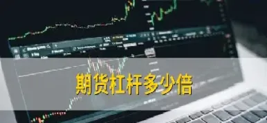 商品期货的杠杠(商品期货杠杠怎么设置)_https://www.07apk.com_黄金期货直播室_第1张