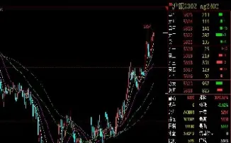 做期货一手是多少(期货银一手多少克)_https://www.07apk.com_黄金期货直播室_第1张