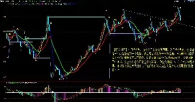 期货玫瑰豆最新行情走势图(豆油期货价格最新行情走势图分析)_https://www.07apk.com_原油期货_第1张