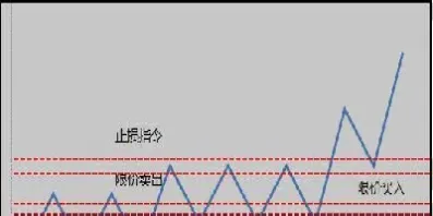 期货中交易指令的内容有哪些(期货交易指令的主要种类)_https://www.07apk.com_股指期货_第1张