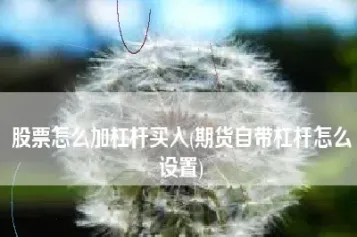 期货杠杆怎么设置(期货杠杆怎么计算)_https://www.07apk.com_股指期货_第1张