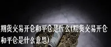 期货外仓和内仓是什么意思(期货内盘和外盘是什么意思)_https://www.07apk.com_股指期货_第1张