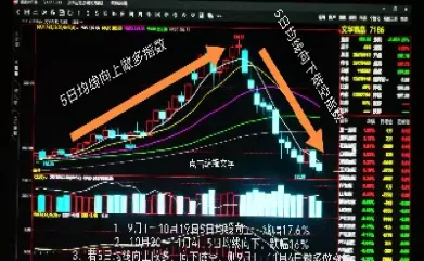 期货资金编码是什么(期货资金编码是什么意思)_https://www.07apk.com_期货技术分析_第1张