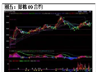 ice棉花期货略收低(棉花期货下跌原因)_https://www.07apk.com_期货科普_第1张