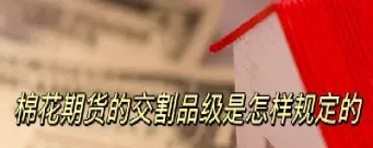 哪种期货不允许交割实物资产(期货不能进入交割月什么意思)_https://www.07apk.com_原油期货_第1张