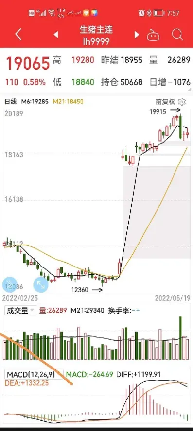 猪肉的期货代码是什么(白银期货代码是什么)_https://www.07apk.com_农产品期货_第1张