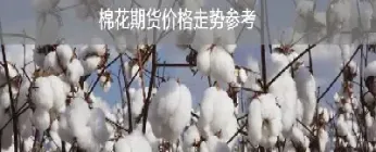 棉花期货的投资建议(棉花期货的投资建议有哪些)_https://www.07apk.com_股指期货_第1张