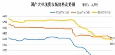 期货豆一最新行情(期货豆一最新走势预测)_https://www.07apk.com_黄金期货直播室_第1张