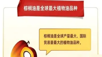 棕榈期货受什么影响(棕榈期货大幅上涨受益股)_https://www.07apk.com_期货行业分析_第1张