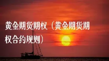 黄金期权与期货的组合关系(黄金期权与期货属于投资工具)_https://www.07apk.com_农产品期货_第1张