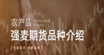 强麦期货一路高歌(强麦期货不活跃)_https://www.07apk.com_股指期货_第1张