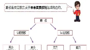 期货交易权利义务(期货交易权利义务包括)_https://www.07apk.com_期货技术分析_第1张