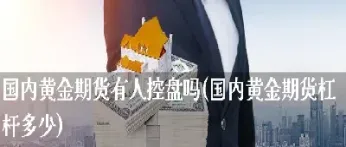 国内商品期货杠杆比例(商品期货调整杠杆比例)_https://www.07apk.com_黄金期货直播室_第1张