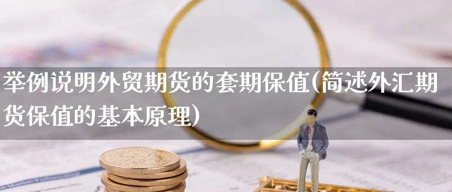 举例说明外贸期货的套期保值(简述外汇期货保值的基本原理)_https://www.07apk.com_农产品期货_第1张