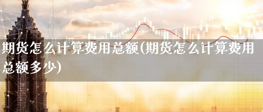 期货怎么计算费用总额(期货怎么计算费用总额多少)_https://www.07apk.com_期货行业分析_第1张