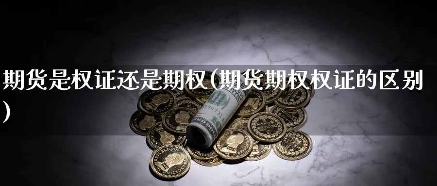 期货是权证还是期权(期货期权权证的区别)_https://www.07apk.com_期货科普_第1张