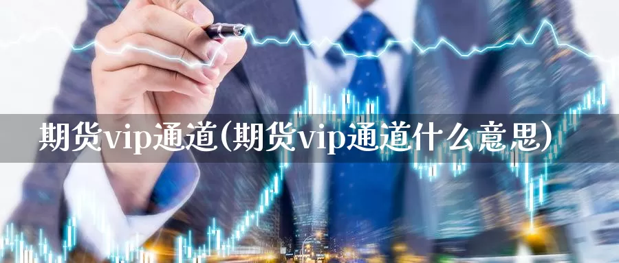 期货vip通道(期货vip通道什么意思)_https://www.07apk.com_农产品期货_第1张