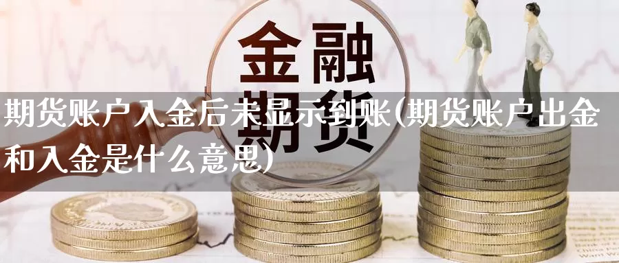 期货账户入金后未显示到账(期货账户出金和入金是什么意思)_https://www.07apk.com_期货科普_第1张