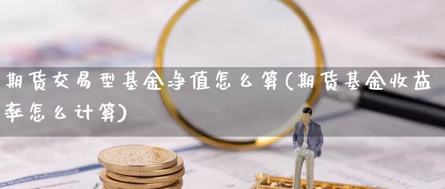 期货交易型基金净值怎么算(期货基金收益率怎么计算)_https://www.07apk.com_期货行业分析_第1张