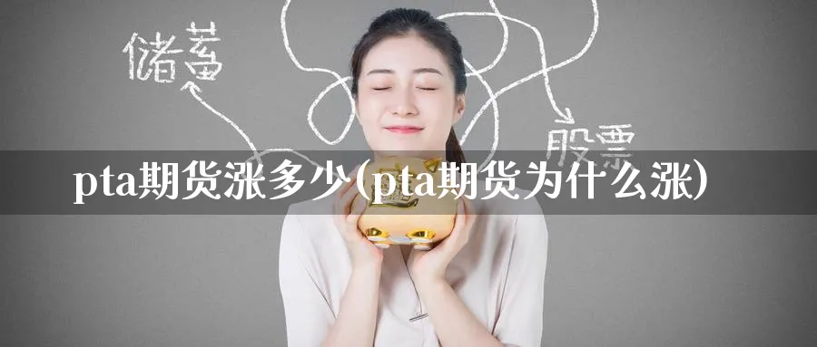 pta期货涨多少(pta期货为什么涨)_https://www.07apk.com_黄金期货直播室_第1张