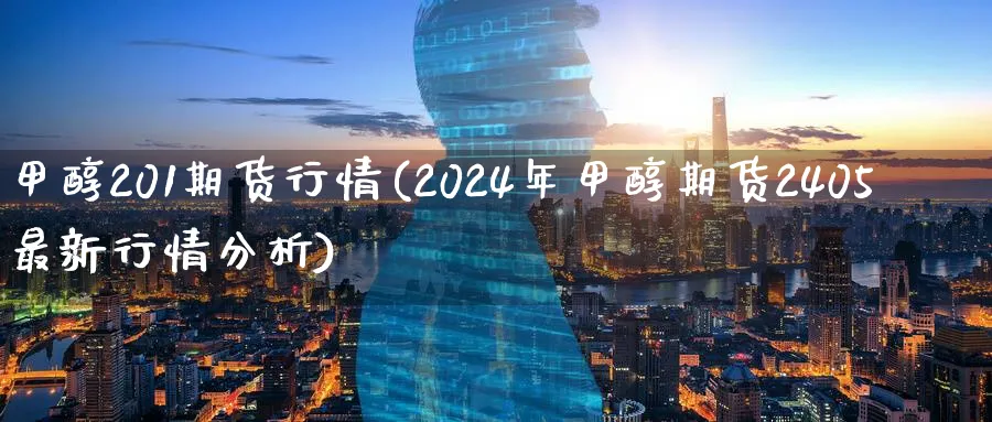 甲醇201期货行情(2024年甲醇期货2405最新行情分析)_https://www.07apk.com_股指期货_第1张