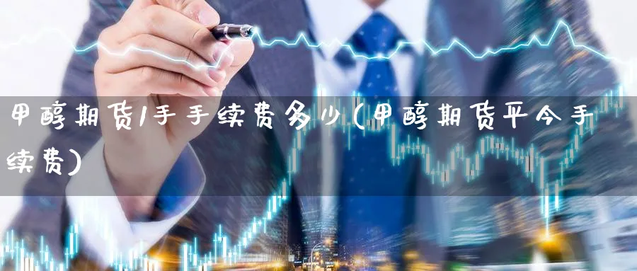 甲醇期货1手手续费多少(甲醇期货平今手续费)_https://www.07apk.com_期货科普_第1张