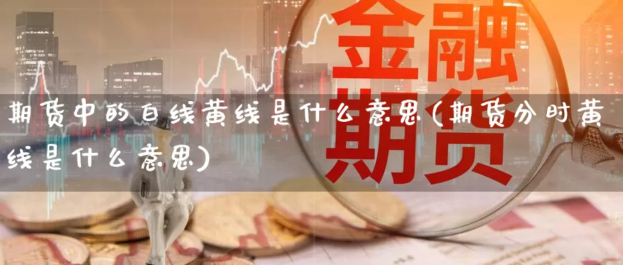 期货中的白线黄线是什么意思(期货分时黄线是什么意思)_https://www.07apk.com_原油期货_第1张