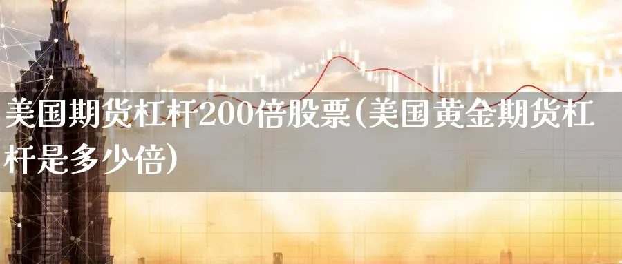 美国期货杠杆200倍股票(美国黄金期货杠杆是多少倍)_https://www.07apk.com_期货技术分析_第1张