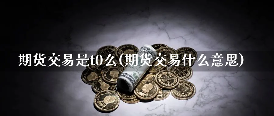 期货交易是t0么(期货交易什么意思)_https://www.07apk.com_期货科普_第1张