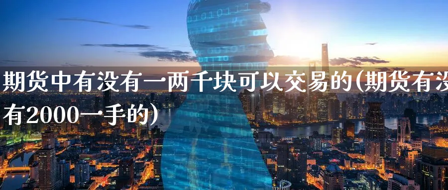 期货中有没有一两千块可以交易的(期货有没有2000一手的)_https://www.07apk.com_期货行业分析_第1张