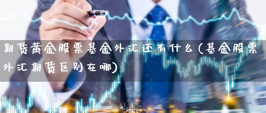 期货黄金股票基金外汇还有什么(基金股票外汇期货区别在哪)_https://www.07apk.com_黄金期货直播室_第1张