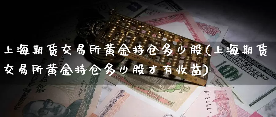 上海期货交易所黄金持仓多少股(上海期货交易所黄金持仓多少股才有收益)_https://www.07apk.com_期货行业分析_第1张