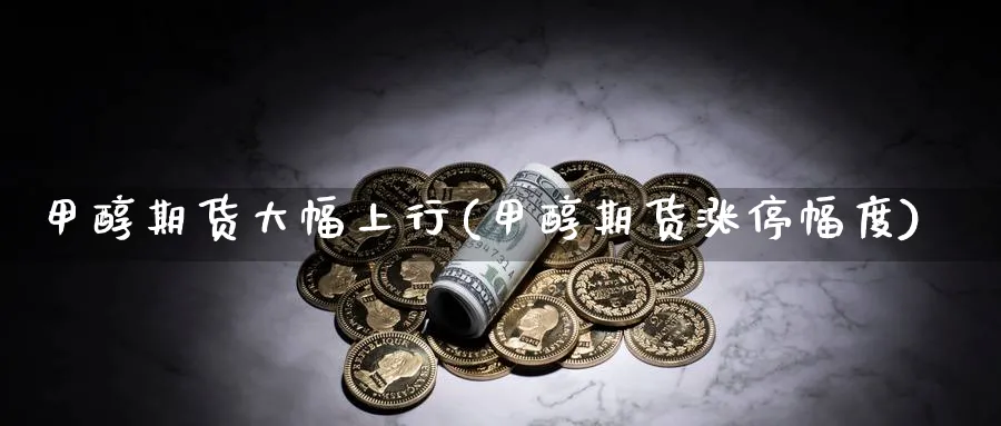 甲醇期货大幅上行(甲醇期货涨停幅度)_https://www.07apk.com_期货科普_第1张