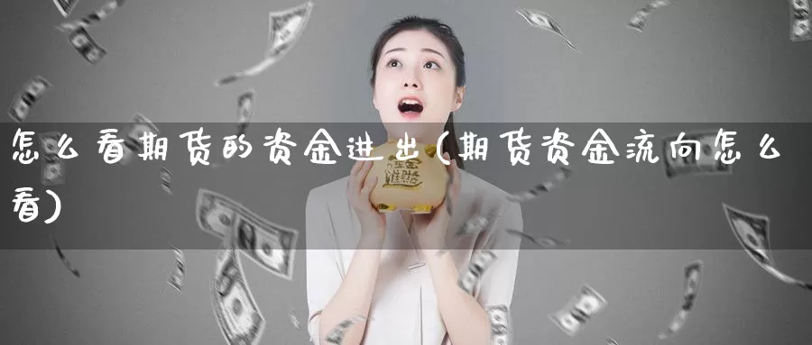 怎么看期货的资金进出(期货资金流向怎么看)_https://www.07apk.com_期货技术分析_第1张