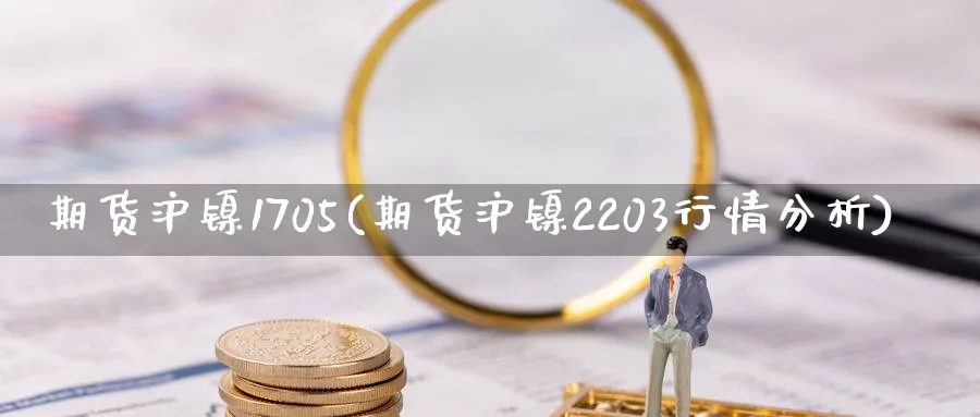 期货沪镍1705(期货沪镍2203行情分析)_https://www.07apk.com_股指期货_第1张