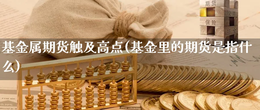 基金属期货触及高点(基金里的期货是指什么)_https://www.07apk.com_农产品期货_第1张