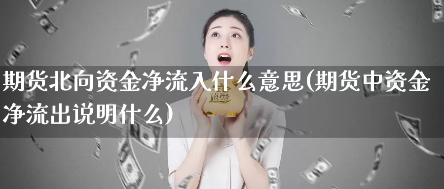 期货北向资金净流入什么意思(期货中资金净流出说明什么)_https://www.07apk.com_期货技术分析_第1张